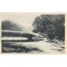 Rare collectable postcards of POLYNÉSIE French Polynesia. Vintage Postcards of POLYNÉSIE French Polynesia