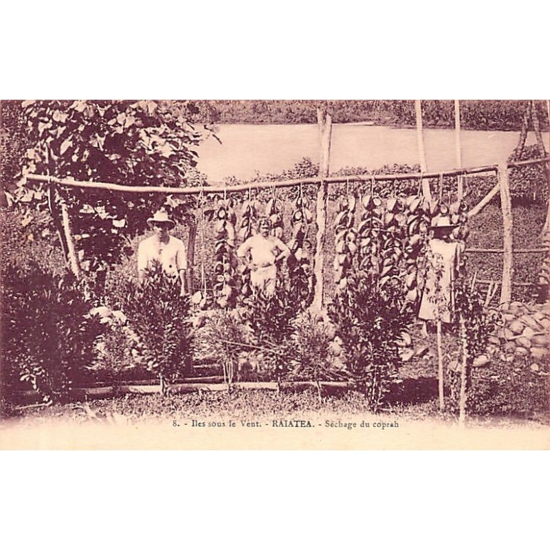 Rare collectable postcards of FRENCH POLYNESIA. Vintage Postcards of FRENCH POLYNESIA