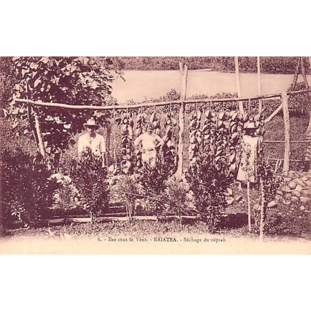Rare collectable postcards of FRENCH POLYNESIA. Vintage Postcards of FRENCH POLYNESIA