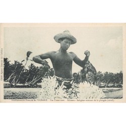 Rare collectable postcards of POLYNÉSIE French Polynesia. Vintage Postcards of POLYNÉSIE French Polynesia