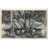 Rare collectable postcards of POLYNÉSIE French Polynesia. Vintage Postcards of POLYNÉSIE French Polynesia