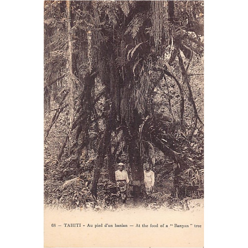 Rare collectable postcards of POLYNÉSIE French Polynesia. Vintage Postcards of POLYNÉSIE French Polynesia