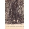 Rare collectable postcards of POLYNÉSIE French Polynesia. Vintage Postcards of POLYNÉSIE French Polynesia