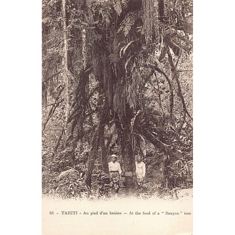 Rare collectable postcards of FRENCH POLYNESIA. Vintage Postcards of FRENCH POLYNESIA