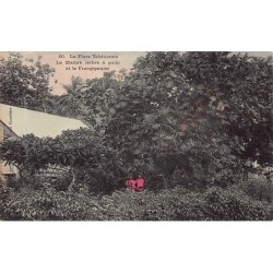 Rare collectable postcards of FRENCH POLYNESIA. Vintage Postcards of FRENCH POLYNESIA