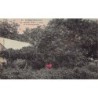 Rare collectable postcards of FRENCH POLYNESIA. Vintage Postcards of FRENCH POLYNESIA