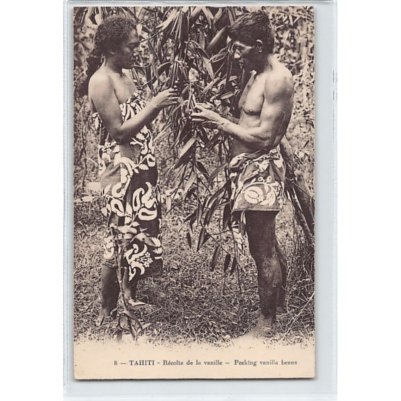 Rare collectable postcards of FRENCH POLYNESIA. Vintage Postcards of FRENCH POLYNESIA