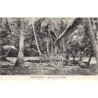 Rare collectable postcards of KIRIBATI. Vintage Postcards of KIRIBATI