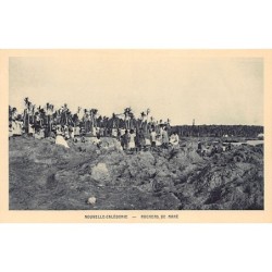 Rare collectable postcards of NEW CALEDONIA. Vintage Postcards of NEW CALEDONIA