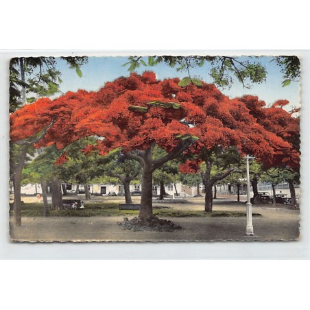 Rare collectable postcards of NEW CALEDONIA Nouvelle-Calédonie. Vintage Postcards of NEW CALEDONIA Nouvelle-Calédonie