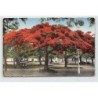 Rare collectable postcards of NEW CALEDONIA Nouvelle-Calédonie. Vintage Postcards of NEW CALEDONIA Nouvelle-Calédonie