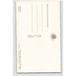 Rare collectable postcards of NEW CALEDONIA. Vintage Postcards of NEW CALEDONIA