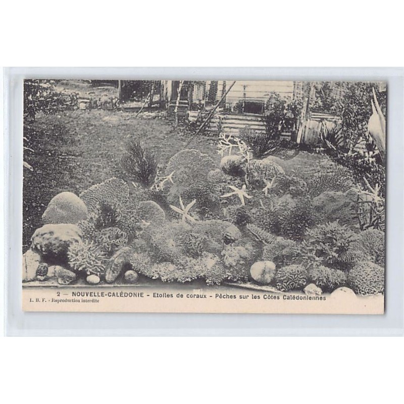 Rare collectable postcards of NEW CALEDONIA. Vintage Postcards of NEW CALEDONIA