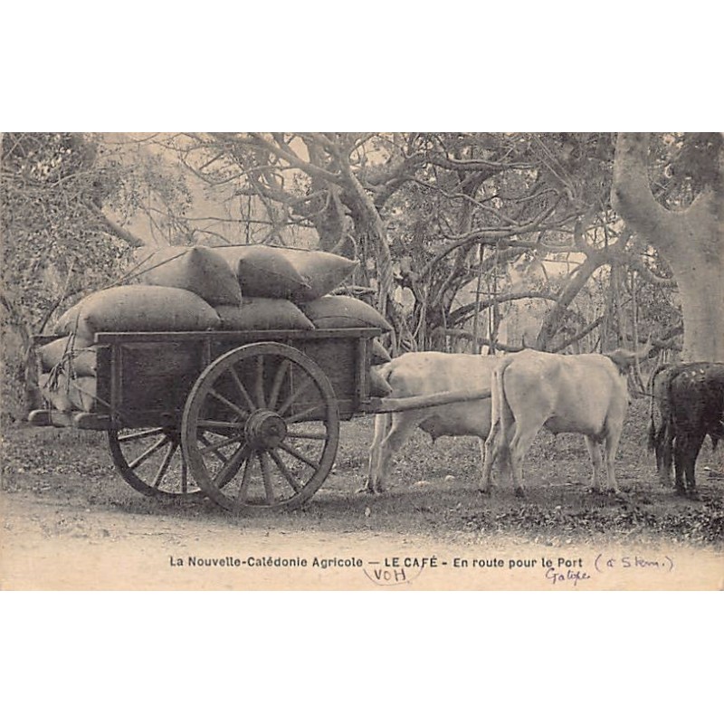 Rare collectable postcards of NOUVELLE-CALÉDONIE New Caledonia. Vintage Postcards of NOUVELLE-CALÉDONIE New Caledonia