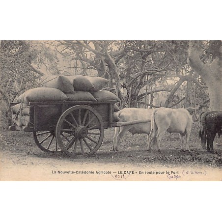 Rare collectable postcards of NOUVELLE-CALÉDONIE New Caledonia. Vintage Postcards of NOUVELLE-CALÉDONIE New Caledonia