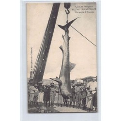 Rare collectable postcards of NEW CALEDONIA. Vintage Postcards of NEW CALEDONIA