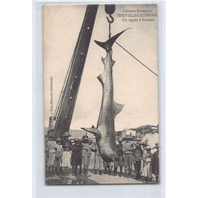 Rare collectable postcards of NEW CALEDONIA. Vintage Postcards of NEW CALEDONIA