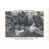 Rare collectable postcards of New Caledonia. Vintage Postcards of New Caledonia