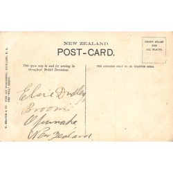 Rare collectable postcards of New Zealand. Vintage Postcards of New Zealand