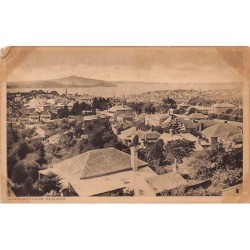 Rare collectable postcards of New Zealand. Vintage Postcards of New Zealand