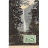 Rare collectable postcards of New Zealand. Vintage Postcards of New Zealand