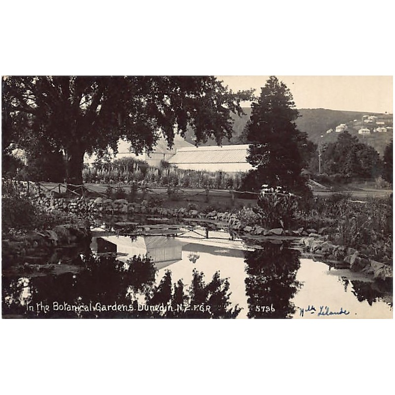 Rare collectable postcards of New Zealand. Vintage Postcards of New Zealand