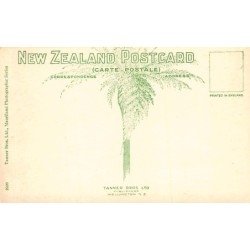 Rare collectable postcards of New Zealand. Vintage Postcards of New Zealand