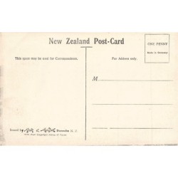 Rare collectable postcards of NEW ZEALAND. Vintage Postcards of NEW ZEALAND