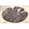 Rare collectable postcards of NEW-ZEALAND. Vintage Postcards of NEW-ZEALAND