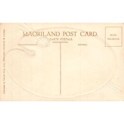 Rare collectable postcards of NEW-ZEALAND. Vintage Postcards of NEW-ZEALAND