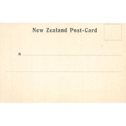 Rare collectable postcards of NEW-ZEALAND. Vintage Postcards of NEW-ZEALAND