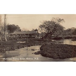 Rare collectable postcards of NEW-ZEALAND. Vintage Postcards of NEW-ZEALAND
