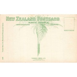 Rare collectable postcards of NEW-ZEALAND. Vintage Postcards of NEW-ZEALAND