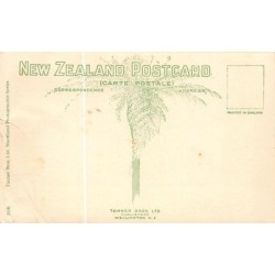 Rare collectable postcards of NEW ZEALAND. Vintage Postcards of NEW ZEALAND