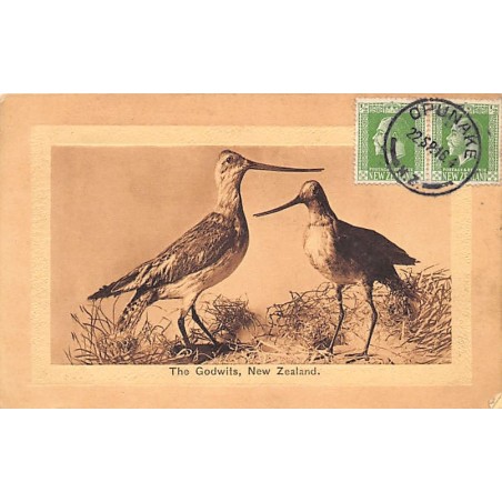 Rare collectable postcards of NEW ZEALAND. Vintage Postcards of NEW ZEALAND