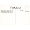 Rare collectable postcards of New Zealand. Vintage Postcards of New Zealand