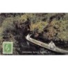 Rare collectable postcards of New Zealand. Vintage Postcards of New Zealand