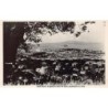 Rare collectable postcards of New Zealand. Vintage Postcards of New Zealand