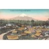 Rare collectable postcards of New Zealand. Vintage Postcards of New Zealand