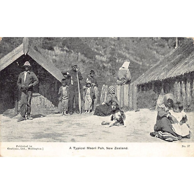 Rare collectable postcards of NEW ZEALAND. Vintage Postcards of NEW ZEALAND