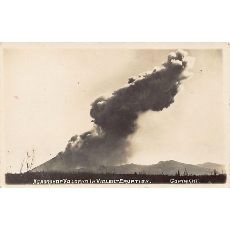 Rare collectable postcards of NEW ZEALAND. Vintage Postcards of NEW ZEALAND