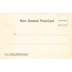 Rare collectable postcards of NEW-ZEALAND. Vintage Postcards of NEW-ZEALAND