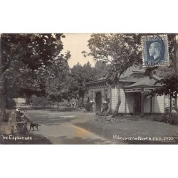 Rare collectable postcards of NEW-ZEALAND. Vintage Postcards of NEW-ZEALAND