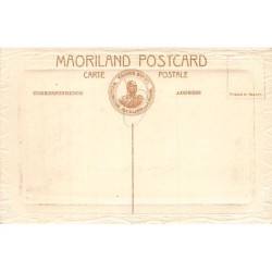 Rare collectable postcards of NEW-ZEALAND. Vintage Postcards of NEW-ZEALAND