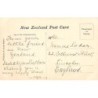 Rare collectable postcards of New Zealand. Vintage Postcards of New Zealand
