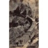 Rare collectable postcards of New Zealand. Vintage Postcards of New Zealand