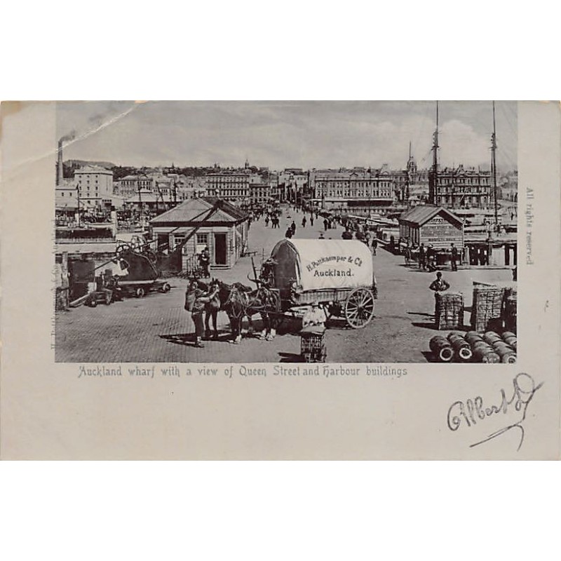 Rare collectable postcards of NEW ZEALAND. Vintage Postcards of NEW ZEALAND