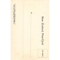 Rare collectable postcards of NEW-ZEALAND. Vintage Postcards of NEW-ZEALAND