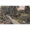 Rare collectable postcards of New Zealand. Vintage Postcards of New Zealand
