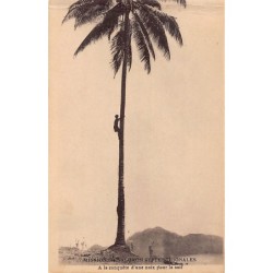 Rare collectable postcards of PAPUA NEW GUINEA. Vintage Postcards of PAPUA NEW GUINEA